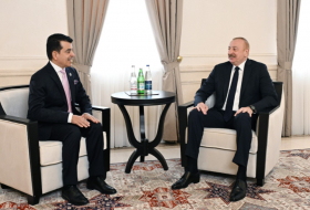 Ильхам Алиев встретился с гендиректором ИСЕСКО