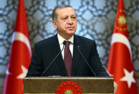 Эрдоган призвал поддержать мусульман Аракана