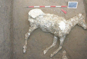 Археологи нашли в Помпеях древнеримские конюшни и 