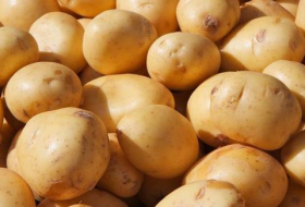 В Азербайджане урожайность картофеля выросла на 7% - минсельхоз
