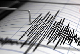 В Лянкяране произошло землетрясение