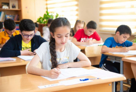 В Азербайджане более чем 280 детям отказано в смене школы и класса

