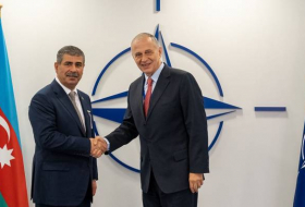 Министр обороны Азербайджана встретился с заместителем Генсека НАТО - ФОТО
