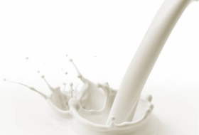 В Сумгайыте из продажи изъята контрафактная молочная продукция 
