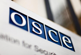 ОБСЕ обнародовал состав долгосрочной наблюдательной миссии в Азербайджане