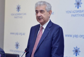 Али Ахмедов: Правительство Азербайджана заинтересовано в партнерстве и сотрудничестве с ЕС