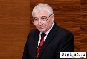 Глава ЦИК: В Азербайджане досадные случаи чаще расценивают как не случайные