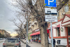 В Баку выделены бесплатные парковочные места
