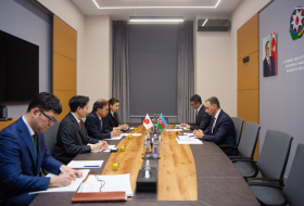 Азербайджан и Япония обсудили расширение сотрудничества в сфере ИКТ