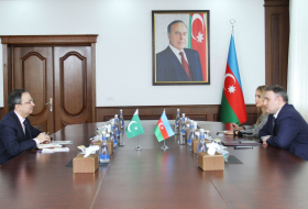 Азербайджан и Пакистан развивают сотрудничество в сфере оборонной промышленности