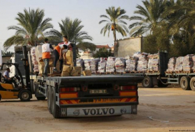 Пакистан отправил в сектор Газа 400 тонн гуманитарной помощи
