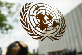 В ООН раскритиковали британский закон о высылке нелегальных мигрантов в Руанду
