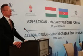Азербайджан и Венгрия будут производить автобусы