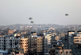 ОАЭ доставили в сектор Газа 400 тонн гуманитарной помощи

