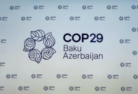 Помощник генсека ООН выразил уверенность в успешном проведении Азербайджаном COP29