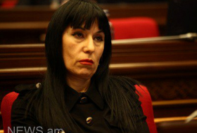 Наира Зграбян готова наказать за халатность коллег от власти