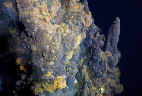 В глубинах Тихого океана обнаружили гигантское гидротермальное поле -ФОТО
