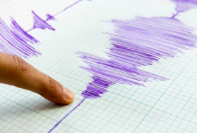 В Кыргызстане произошло землетрясение. Толчки ощущались также в Узбекистане
