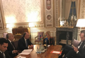 Переговоры Мамедъярова и главы МИД Швеции (ФОТО)