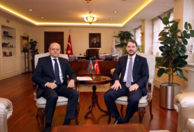 Турция и Азербайджан обсудили энергетические проекты (ФОТО)