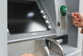 В Казахстане мыши погрызли деньги в банкомате (ВИДЕО)