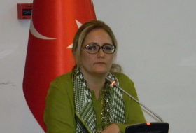 Посол Турции об операции в Африне