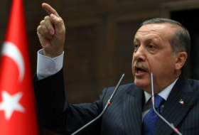 Эрдоган допускает возможность наступления турецких войск на Идлиб