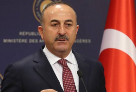 Турция вынуждена была начать военные операции в Сирии - Чавушоглу