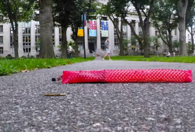В Гарварде сделали чешуйчатого робота-змею - ВИДЕО