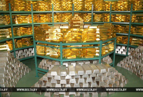 Золотовалютные резервы Беларуси составили $6,99 млрд