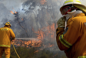 В Австралии лесные пожары охватили более 20 тысяч гектаров
