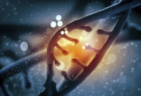 Перестраивает ДНК: генетики рассказали, как алкоголь вызывает зависимость