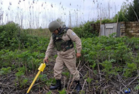 В регионе Азербайджана обнаружена ручная граната Ф-1 
