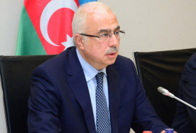 Азербайджанским предпринимателям выдано свыше 400 документов о поощрении инвестиций - замминистра
