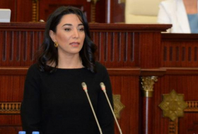 Омбудсмен Азербайджана выступила с заявлением в связи с трагедией 20 Января
