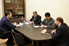 Посол Азербайджана встретился с вице-спикером парламента Грузии

