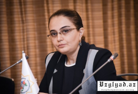 Заместитель завотдела АП: 2019 год запомнится в Азербайджане как год коренных реформ
