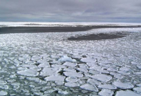 Морской лёд в Антарктиде достиг экстремально низкого уровня,- ученые
