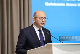 Пярвиз Шахбазов: Азербайджан экспортировал в Европу 2,1 млрд кубометров газа