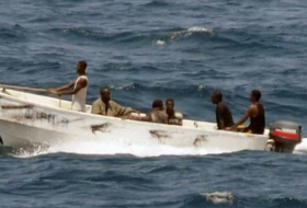 Индийский флот захватил и передал властям страны 35 сомалийских пиратов