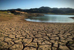 Марокко страдает от небывалой засухи
