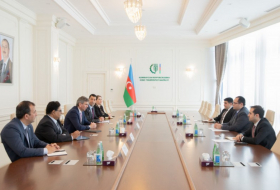 Азербайджан обсудил с ФАО развитие сельского хозяйства на освобожденных территориях