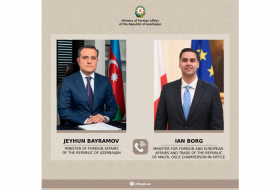 Обсуждены основные направления сотрудничества между Азербайджаном и ОБСЕ