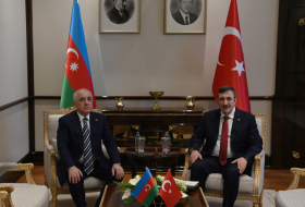 Премьер-министр Али Асадов встретился с вице-президентом Турции Джевдетом Йылмазом