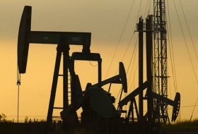 Запасы нефти в США выросли на 7,26 млн баррелей за неделю
