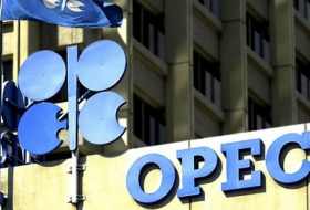 Нефтяная корзина ОПЕК подешевела на 1%