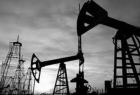 ОПЕК сократила добычу нефти на 221 тысячи баррелей