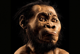 Новый вид человека обнаружен в Южной Африке